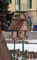 12 ноября- Синичкин день. 12 ноября- Синичкин день.